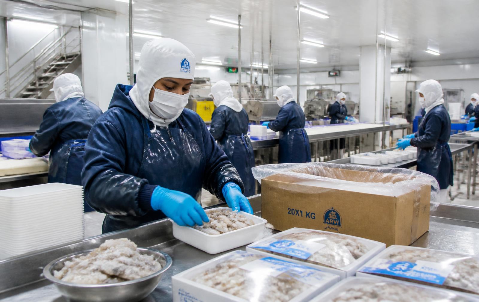 Seafood packing area with workers packing frozen shrimp